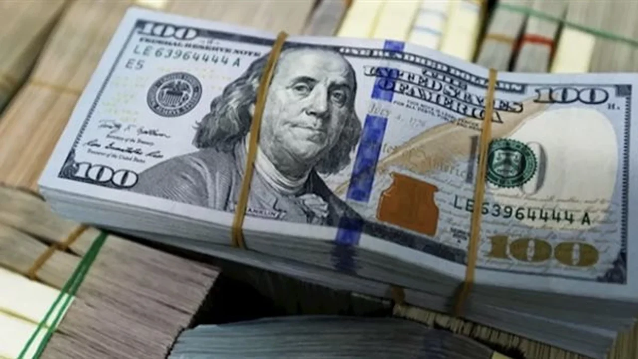سعر الدولار مقابل الجنيه المصري في الأسواق اليوم